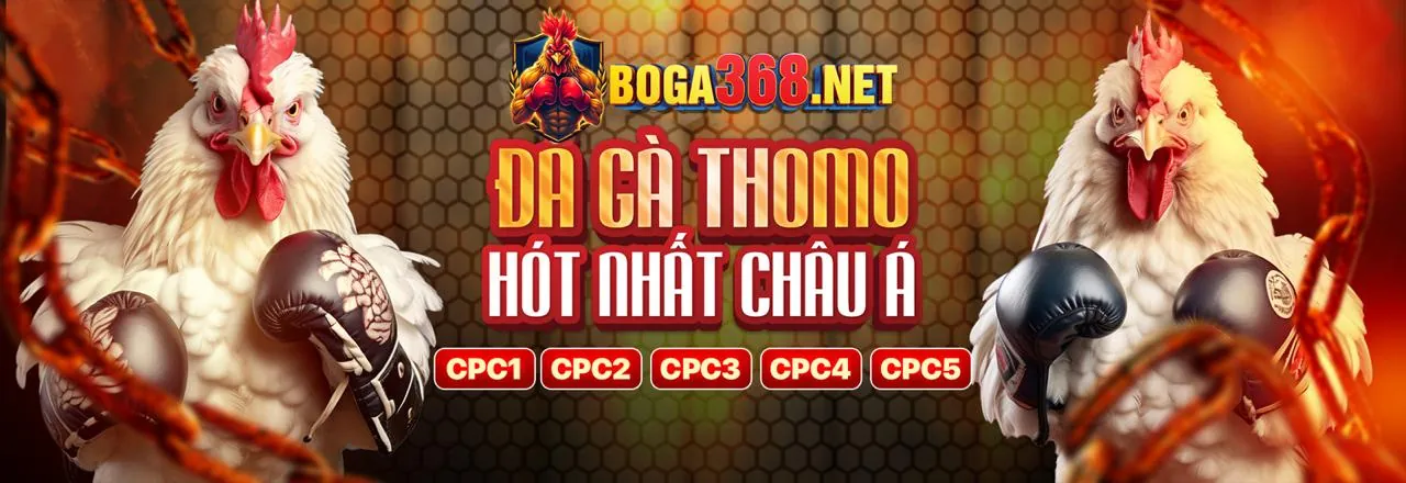 Đấu trường đá gà kịch tính tại td88 code